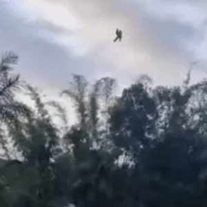 VÍDEO: adolescentes perdidos em trilha conseguem sinal de internet e são resgatados em SC | Imagem: Grupo de Salvamento em Montanhas