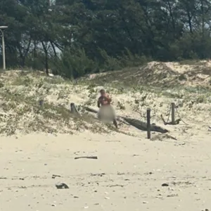 Mulheres flagram homem cometendo atos obscenos em praia de SC