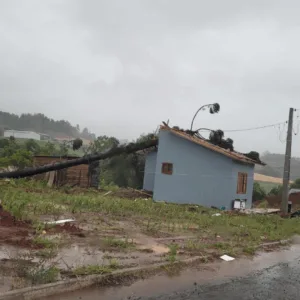 Árvores caem e residências são destelhadas após fortes ventos em SC; veja imagens | Imagem: Ivan segheto / cedido ao SCC10