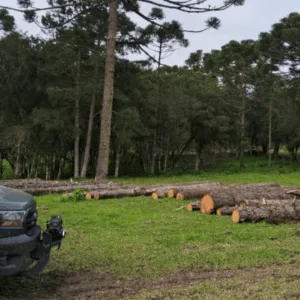 Polícia Militar Ambiental registra três ocorrências de desmatamento ilegal na Serra