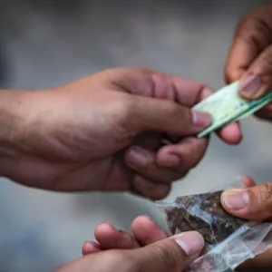 Polícia Militar apreende 3kg de maconha e prende homem por tráfico em Lages | Imagem ilustrativa