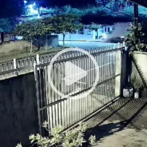 Investigações revelam que atropelamento em SC
