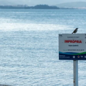 73,95% das praias estão próprias em SC; confira a lista de pontos impróprios para banho