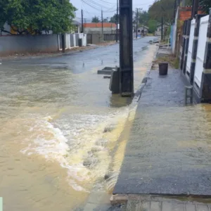Foto: Defesa Civil de Araquari/Reprodução