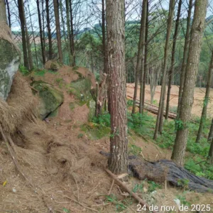 Foto: CBMSC/Divulgação