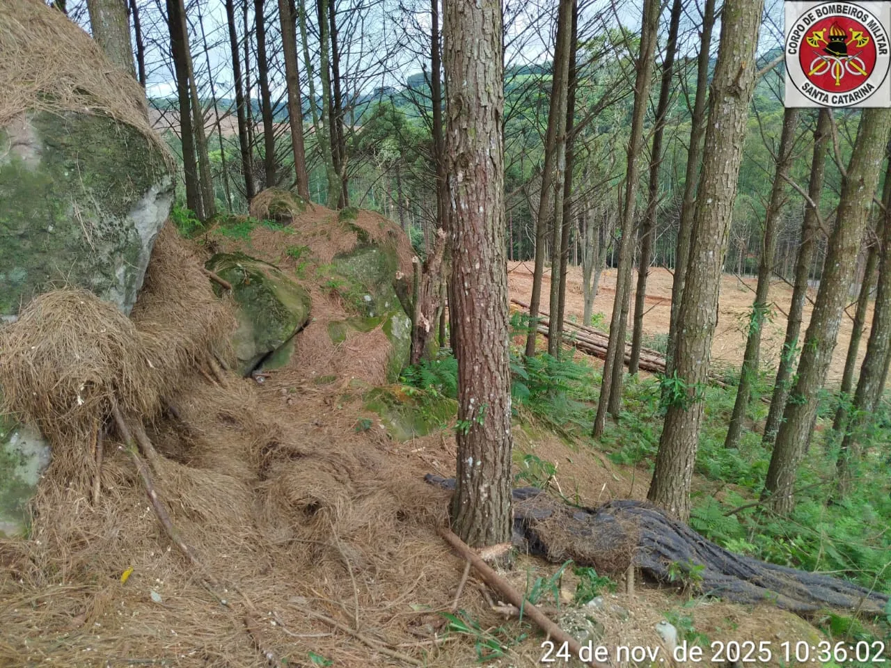 Foto: CBMSC/Divulgação