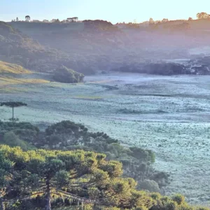 Geada em pleno novembro surpreende na Serra Catarinense