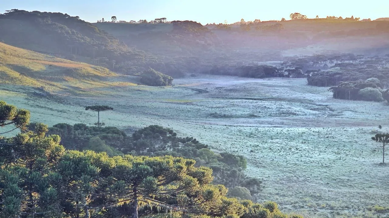 Geada em pleno novembro surpreende na Serra Catarinense | Imagem: Mycchel Legnaghi  📸