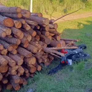 Homem de 60 anos morre após saída de pista na SC-110 (1)