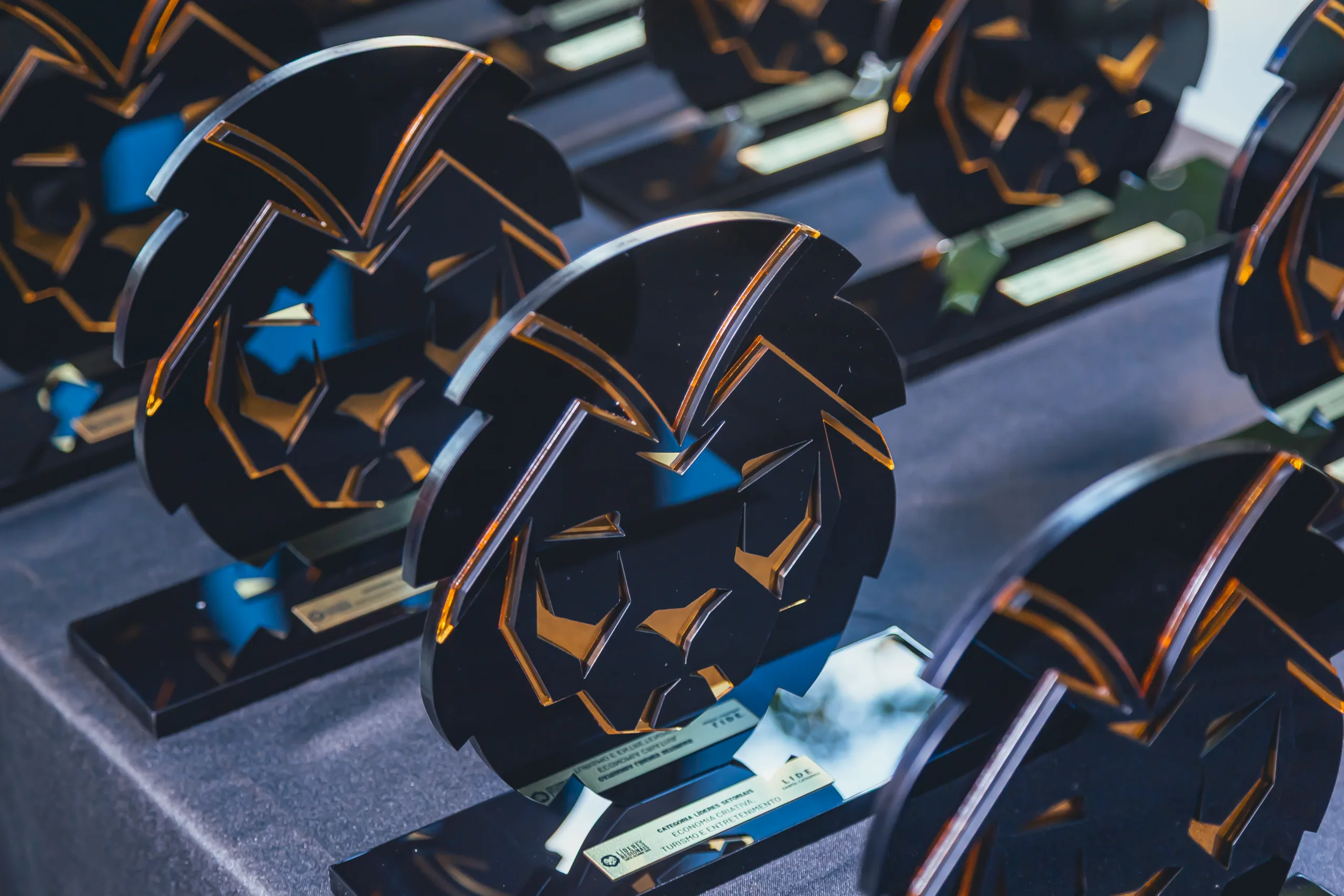 LIDE SC homenageia vencedores do Prêmio Líderes do Brasil 2025 | Foto: Divulgação