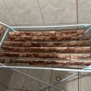 Lavagem de dinheiro Polícia de SC acha dinheiro em varal durante operação | Foto: PCSC | Metrópoles