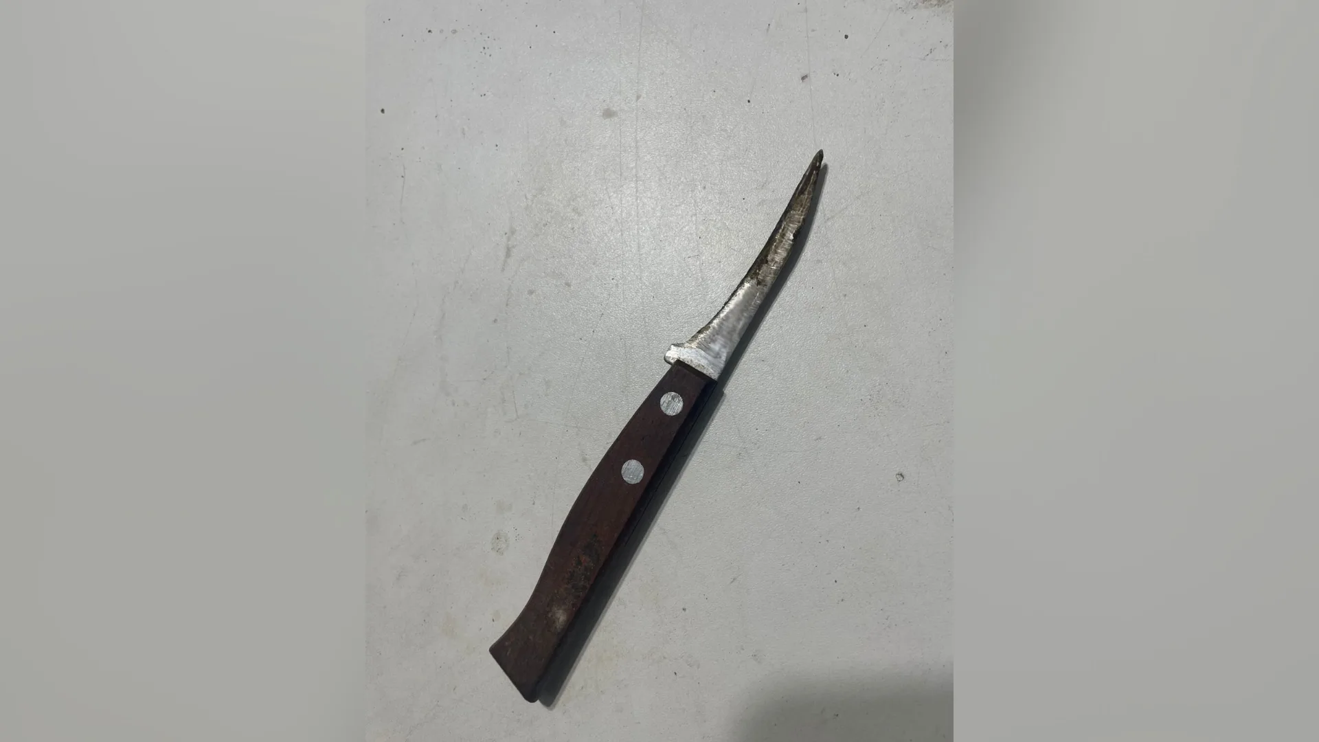 Briga entre casal termina com homem esfaqueado e mulher presa em SC | Foto: PMSC/Divulgação