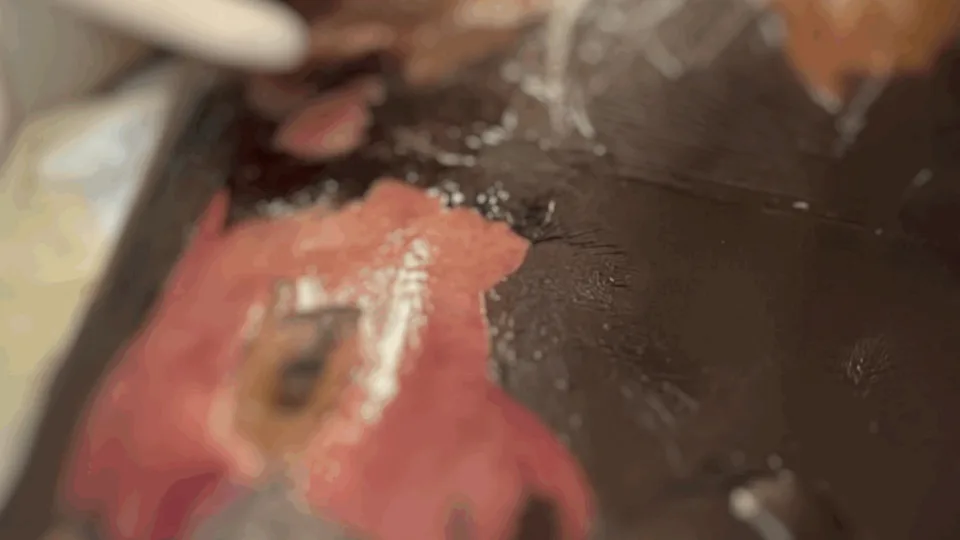 Condenado por cirurgias ‘X-Tudo’ médico tem três processos em dívida ativa no PROCON/SC | Fotos: Leticia Mello/Divulgação