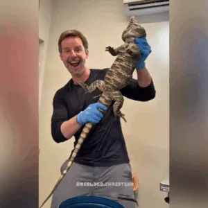 Foto: Gilberto Ademar Duwe/Reprodução