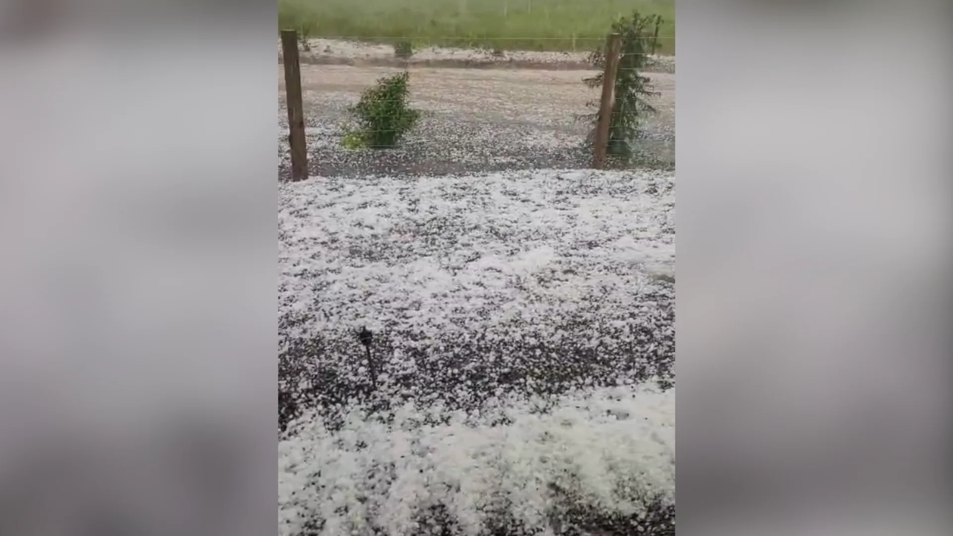 Foto: Reprodução/Redes Sociais