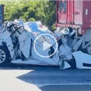 Vídeos mostram destruição em acidente que esmagou carro e matou três entre SC e PR | Imagem: PRF-PR 