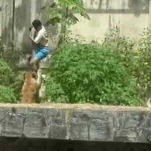 Foto: Redes Sociais/Reprodução