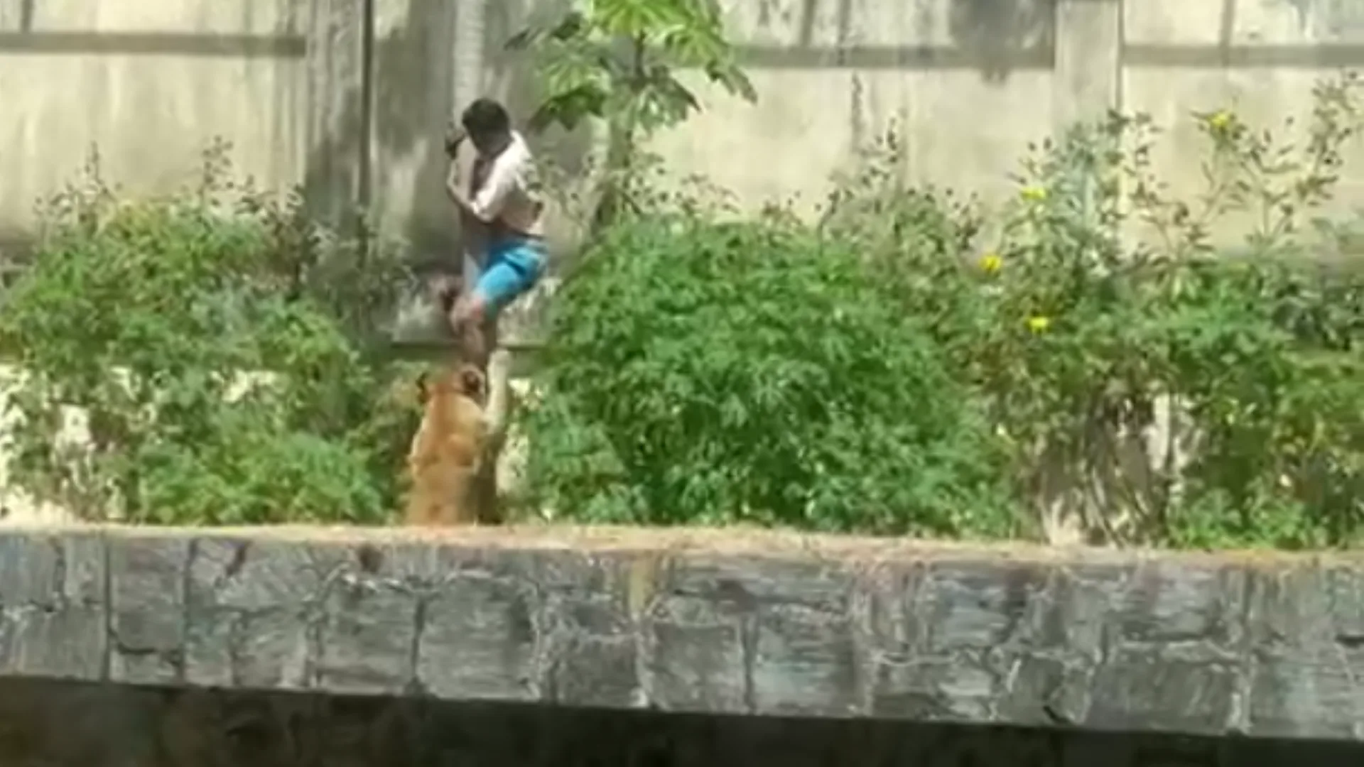 Foto: Redes Sociais/Reprodução