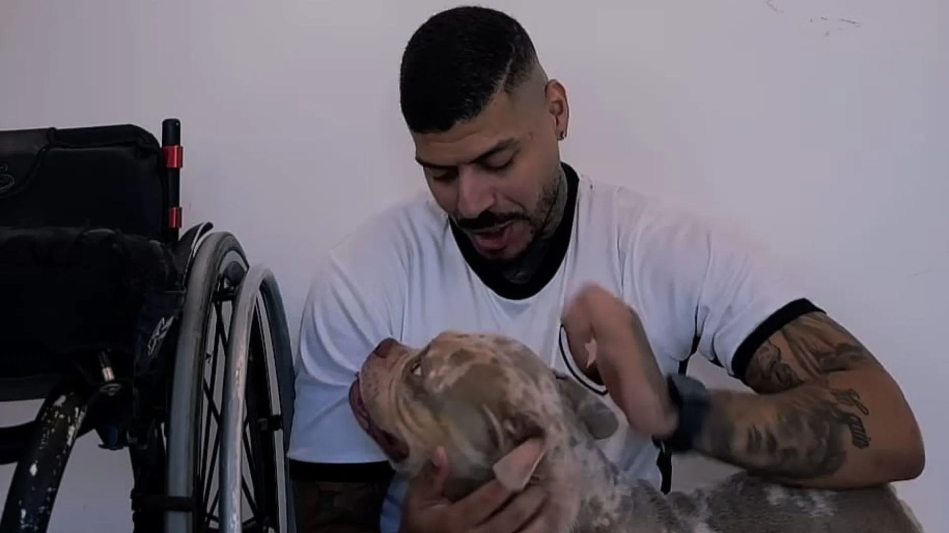 Influenciador acorda sem o dedo do pé e descobre que cachorro comeu – Imagem: redes sociais