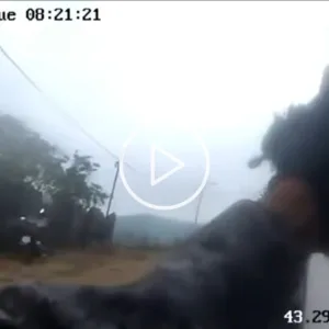 Vídeos mostram momentos de tensão e resgates sob fogo cruzado em megaoperação no Rio | Foto: reprodução. 