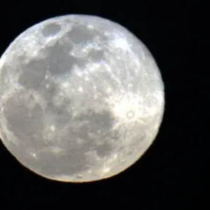 Novembro terá penúltima superlua de 2025; veja quando observar - Imagem: reprodução/ SBT