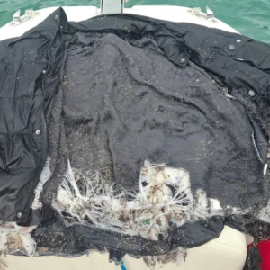 Após morte por afogamento, irmão da vítima desaparece na mesma praia em menos de 24h em SC | Imagem: Corpo de bombeiros de SC