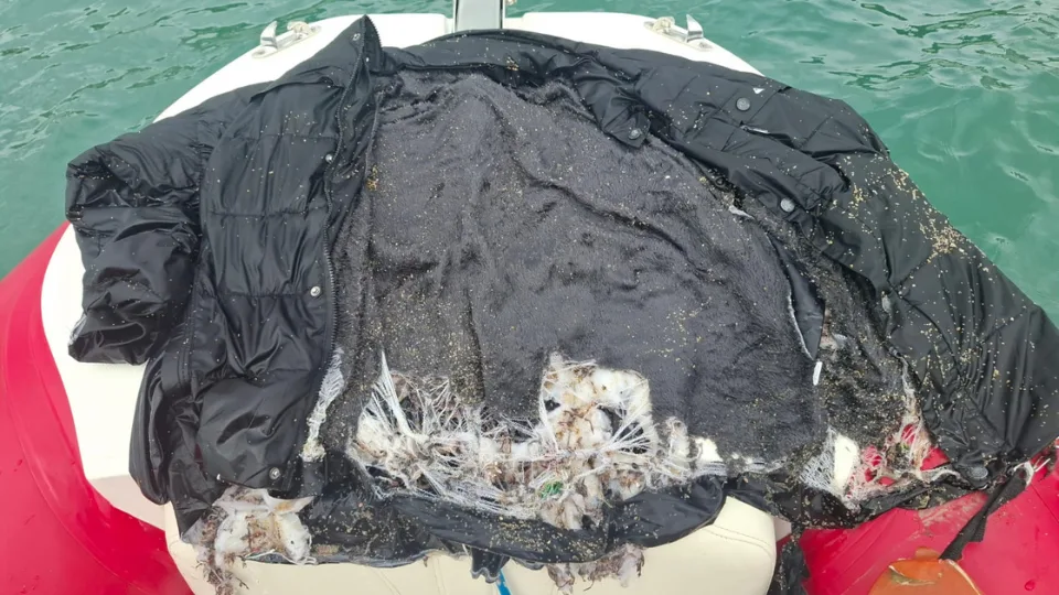 Após morte por afogamento, irmão da vítima desaparece na mesma praia em menos de 24h em SC | Imagem: Corpo de bombeiros de SC