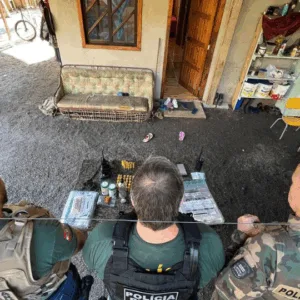 Operação 'Caçada Virtual' mira grupo suspeito de crimes ambientais em Santa Catarina