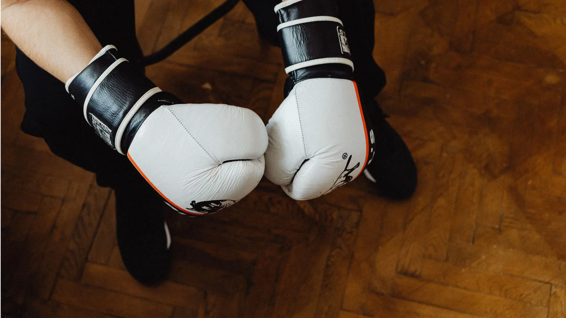 Whindersson Nunes ‘desafia’ Sacha Bali por cinturão do Fight Music Show | Foto: reprodução. 