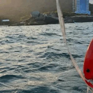 Corpo de homem desaparecido é encontrado em praia de SC; irmão também morreu afogado dias antes | Imagem: CBMSC