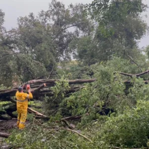 Fortes ventos e chuvas mobilizam bombeiros em 53 municípios de SC - Imagem: reprodução/ CBMSC