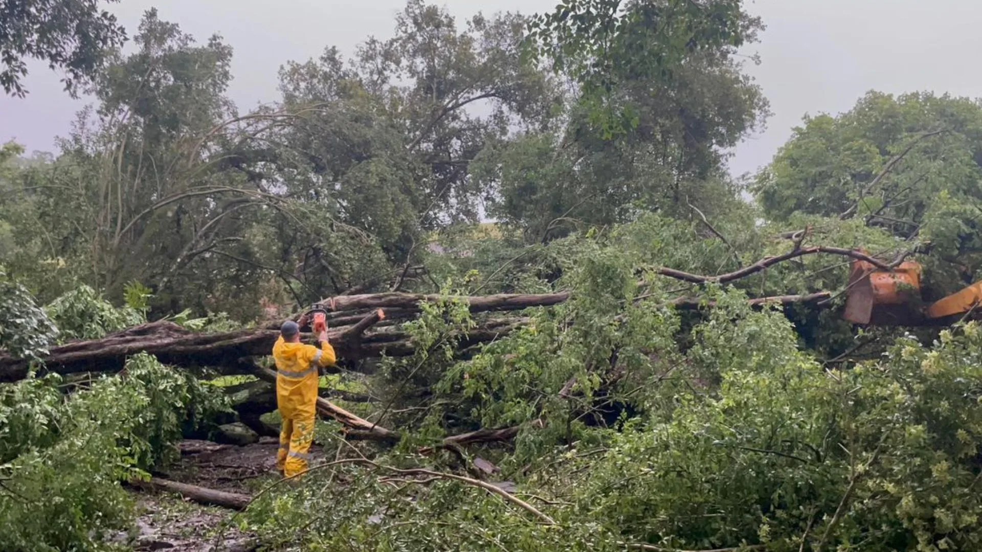 Fortes ventos e chuvas mobilizam bombeiros em 53 municípios de SC – Imagem: reprodução/ CBMSC