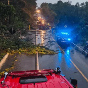 Bombeiros atendem mais de 230 ocorrências por causa dos ventos que atingiram o estado | Imagem: CBMSC