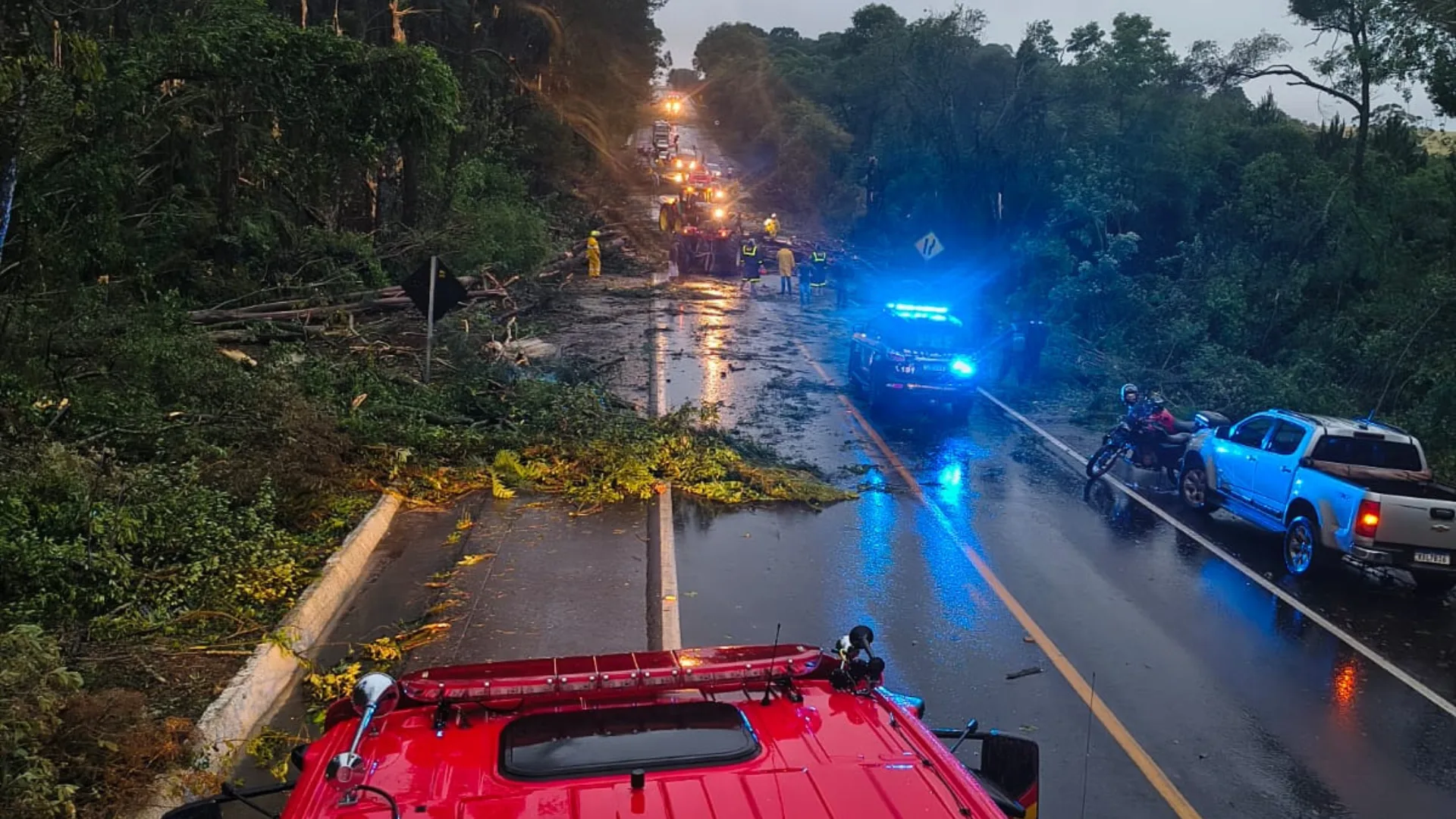 Bombeiros atendem mais de 230 ocorrências por causa dos ventos que atingiram o estado | Imagem: CBMSC