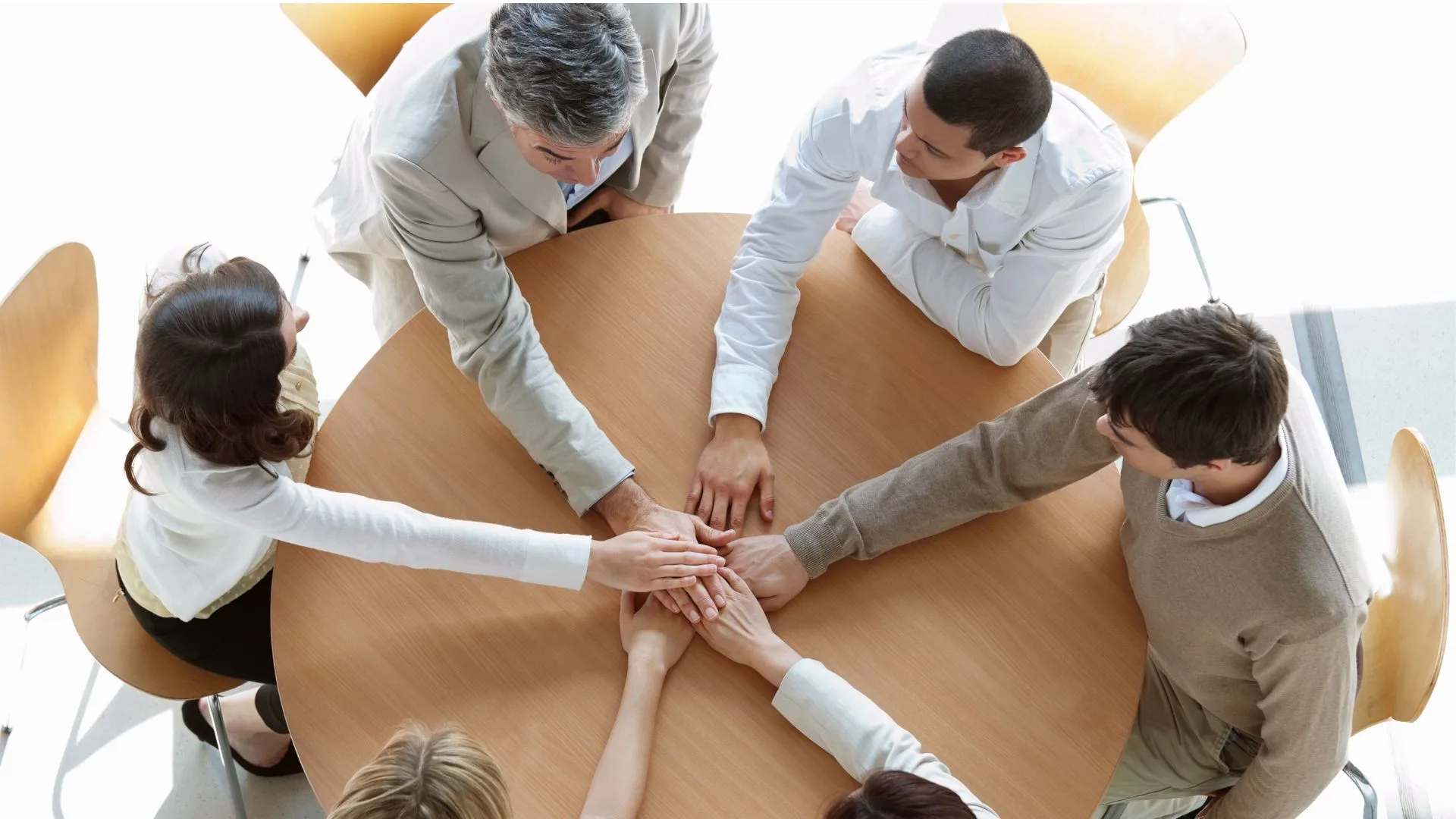 A Revolução Humana da Criação | Foto: reprodução. 