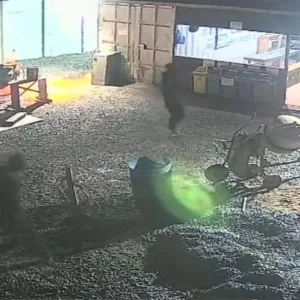 Vídeo mostra criminosos rendendo vigilante e furtando caminhão em SC