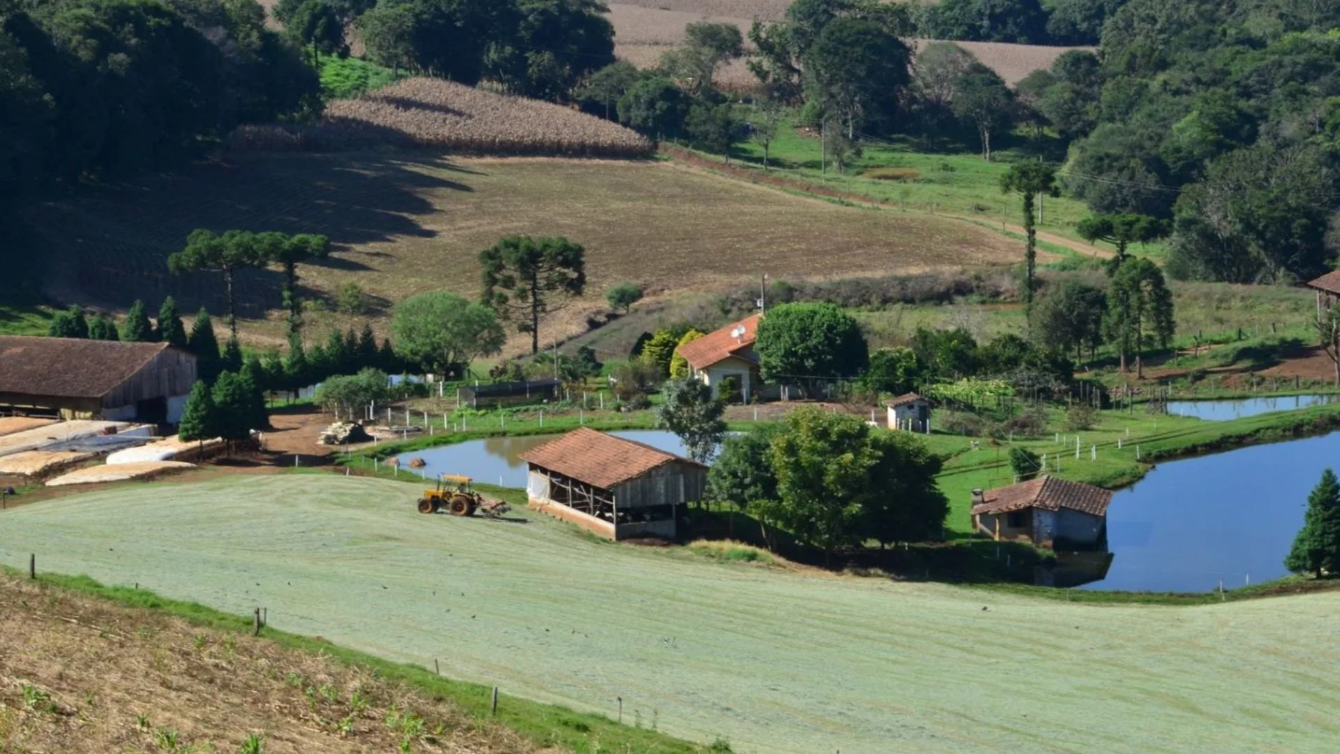 Novo programa do governo de Santa Catarina prevê R$ 1 bilhão em crédito para cooperativas | Foto: divulgação 