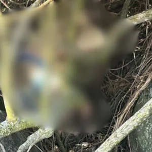 Corpo de mulher é achado por turistas na Trilha do Matadeiro