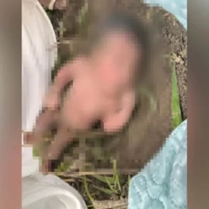 Bebê recém-nascida é encontrada sem roupas, atrás de formigueiro, em uma mata | Foto: Reprodção / Portal Metrópoles 