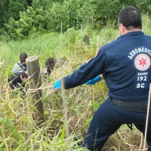 Trabalhador morre após sofrer anafilaxia por picada de inseto em SC | Foto: divulgação Samu 