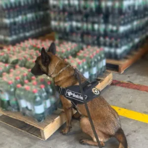 Receita Federal encontra cocaína em refrigerantes no porto de Itajaí e Navegantes | Foto: divulgação / Receita Federal 