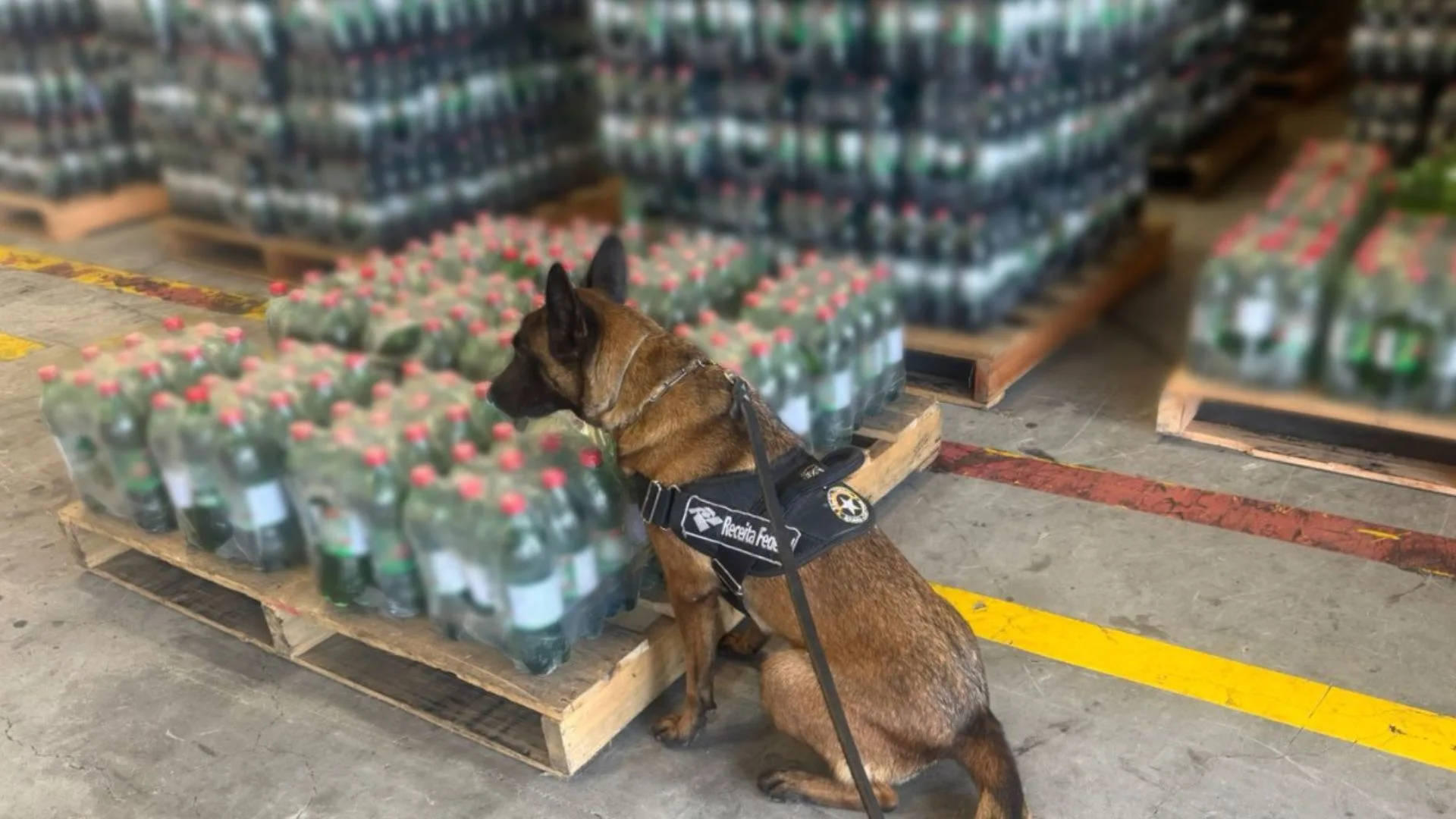 Receita Federal encontra cocaína em refrigerantes no porto de Itajaí e Navegantes | Foto: divulgação / Receita Federal 