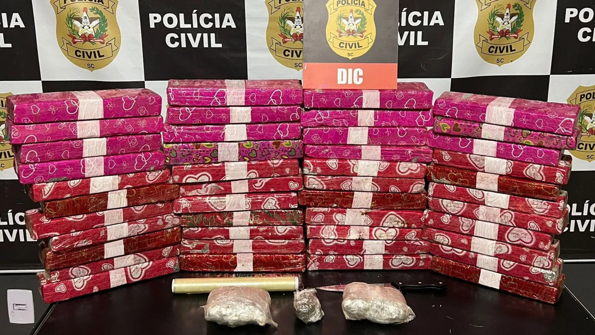 Polícia Civil encontra depósito de drogas usado por traficantes em Santa Catarina | Foto: divulgação | PCSC 