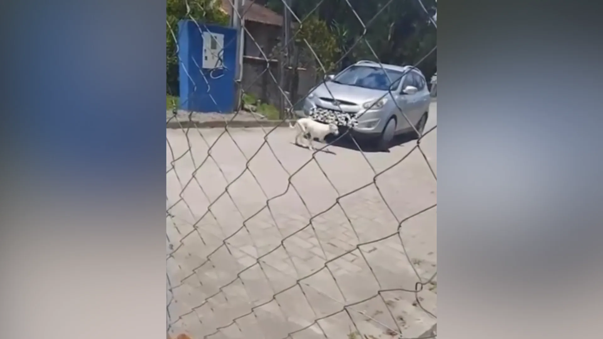 Foto: PCSC Joinville/Divulgação