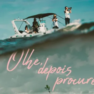 Imagem: Toninhas do Brasil/Univille