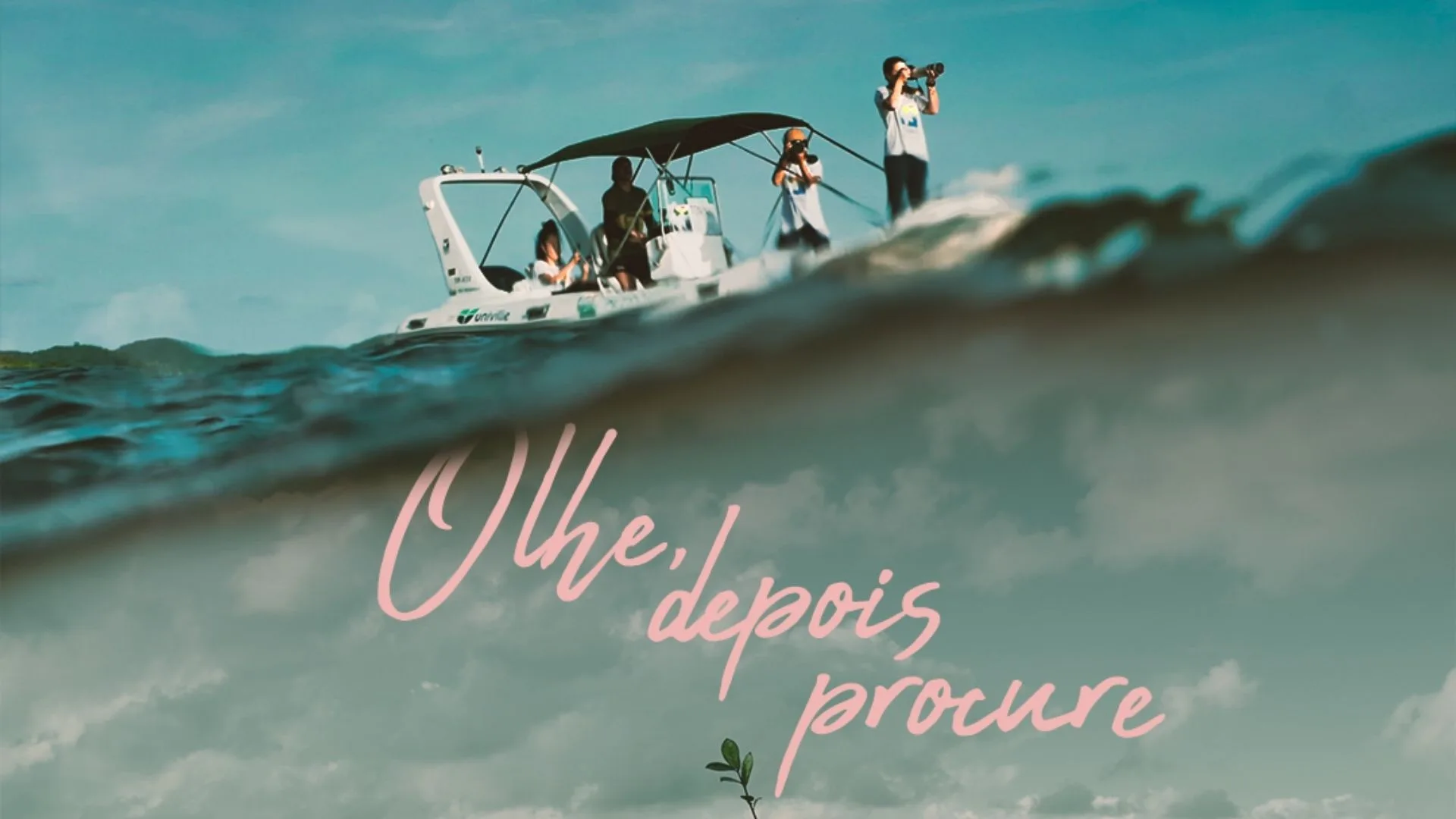 Imagem: Toninhas do Brasil/Univille