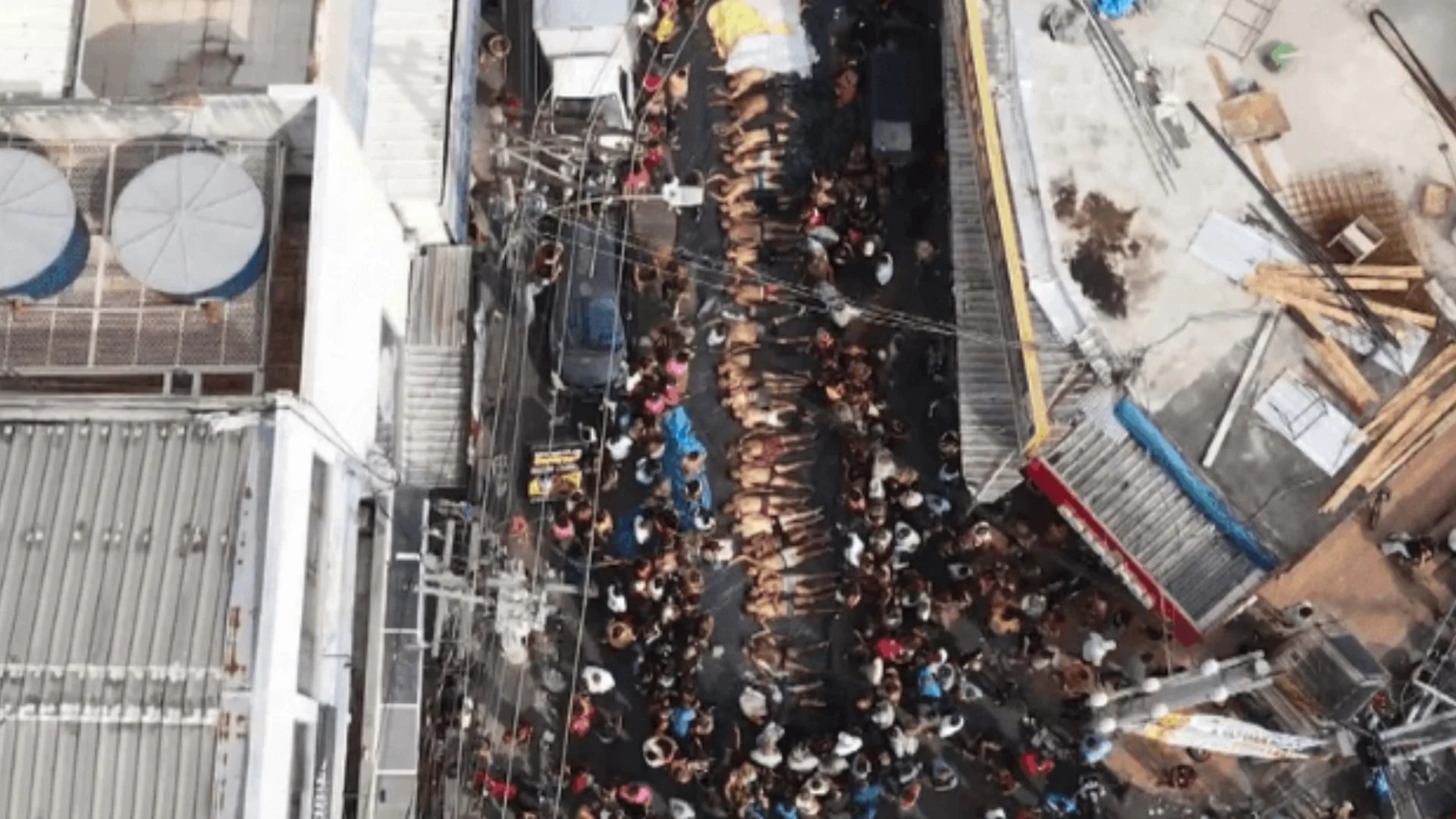 Moraes determina suspensão inquérito sobre retirada de corpos da mata no Complexo da Penha – Imagem: Reprodução/SBT