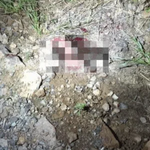 Homem é esfaqueado no rosto e nas costas em tentativa de homicídio em SC | Imagem: PMSC