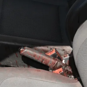 Polícia Civil conclui investigação sobre ataque a facão contra ex e ex-cunhado em SC | Imagem: Polícia Civil de SC