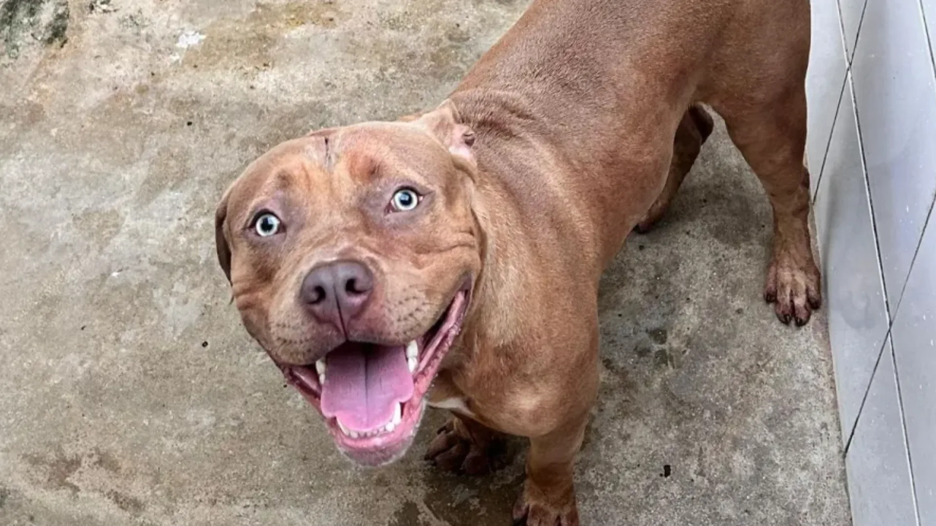 Foto: Reprodução/Uol